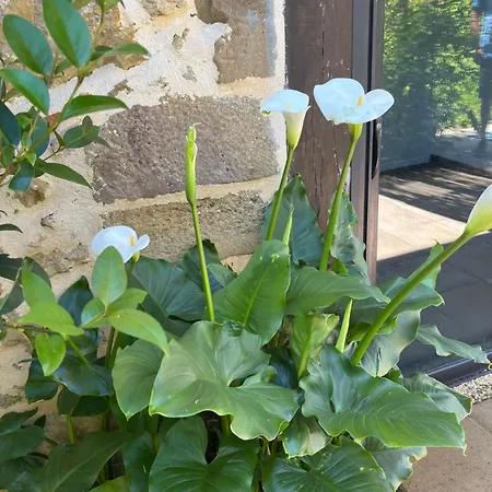 Hébergement de vacances Logis Gascons 1