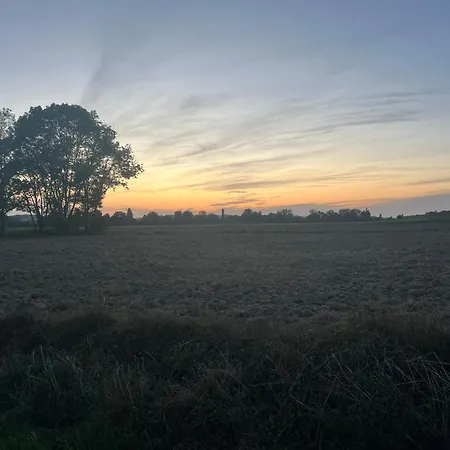 Hébergement de vacances Logis Gascons 1 Saint-Justin (Midi-Pyrenees)
