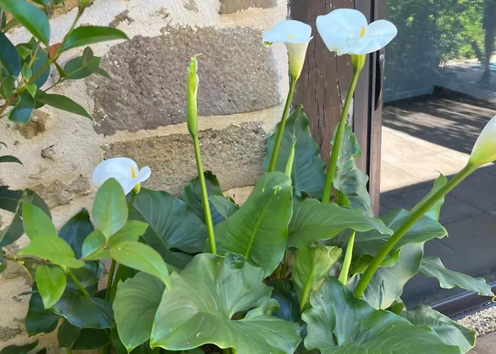 Holiday home 1, Domaine Logis Gascogne